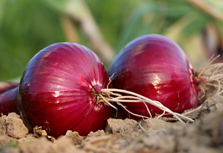 How to Perfectly Dice Onions Without Crying.